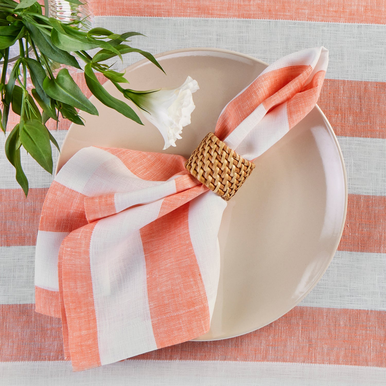 #color_salmon-and-white-cabana-stripe-6554331414570