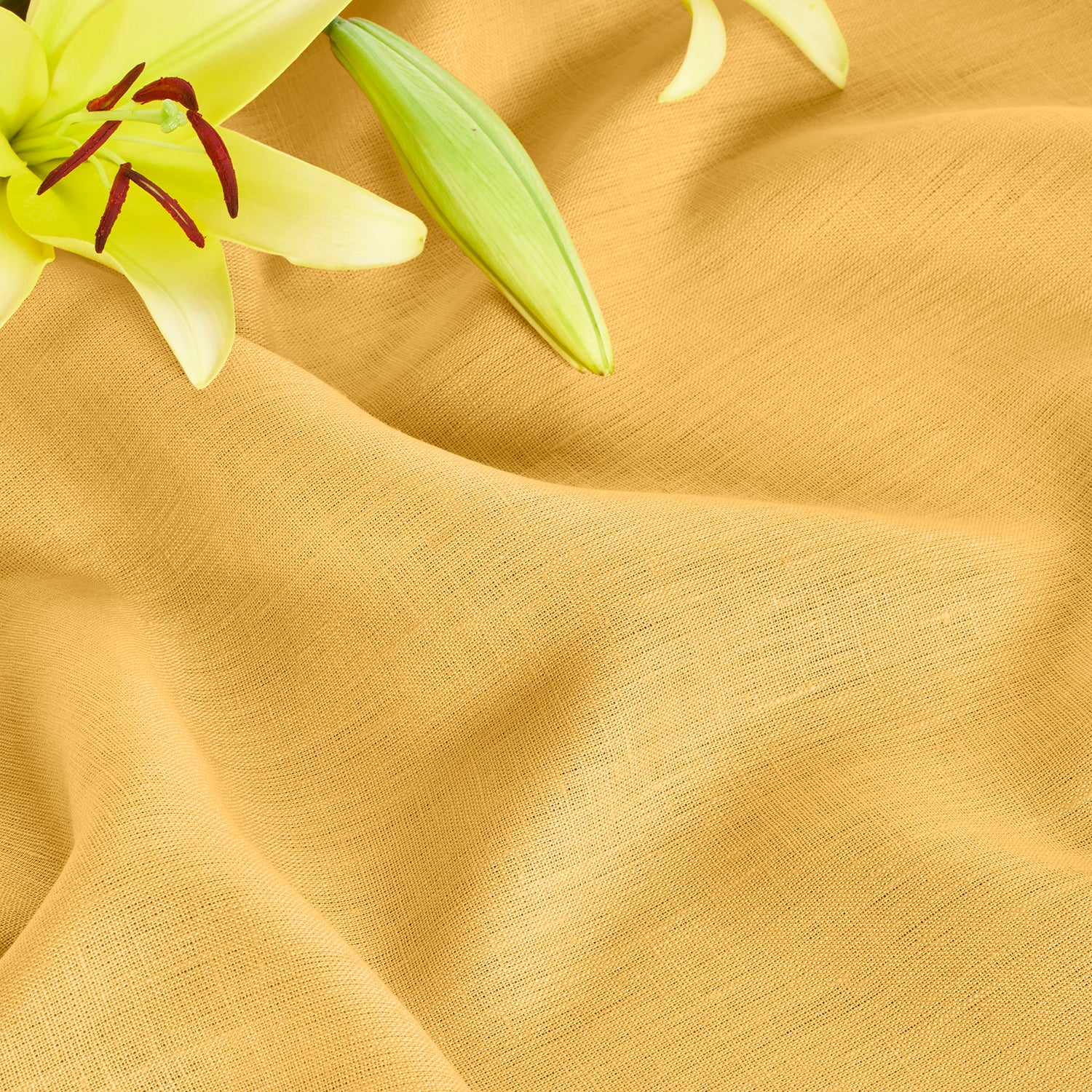 #color_mustard-yellow-6755300409386